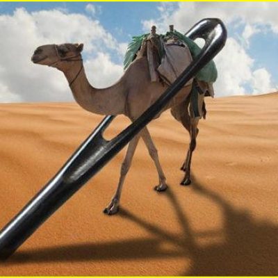Camel-Needle